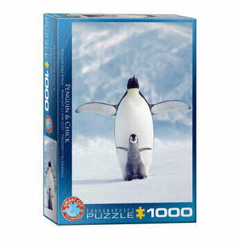 Puzzle Eurographics - Penguin and Baby, 1000 piese