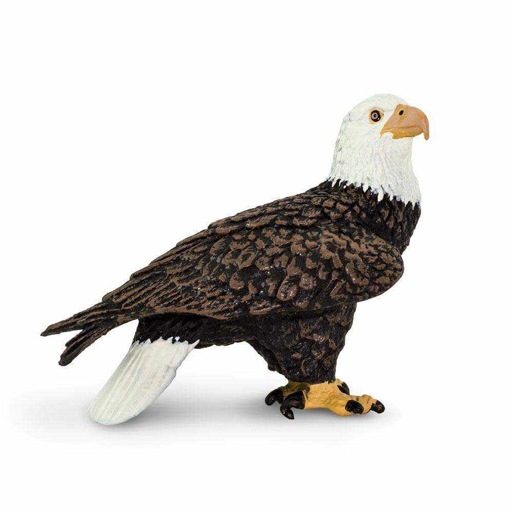 Figurina - Wildlife Animal - Bald Eagle | Safari