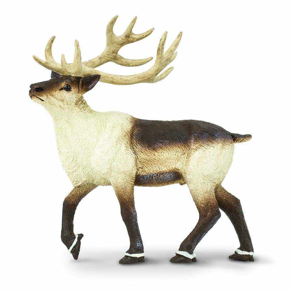 Figurina - North American Reindeer | Safari