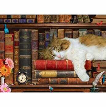 Puzzle Eurographics - The Cat Nap, 500 piese XXL