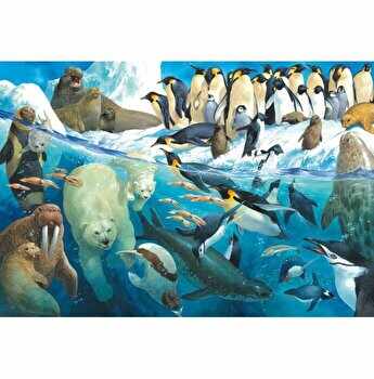 Puzzle Schmidt - Animals Of The Polar Regions, 100 piese