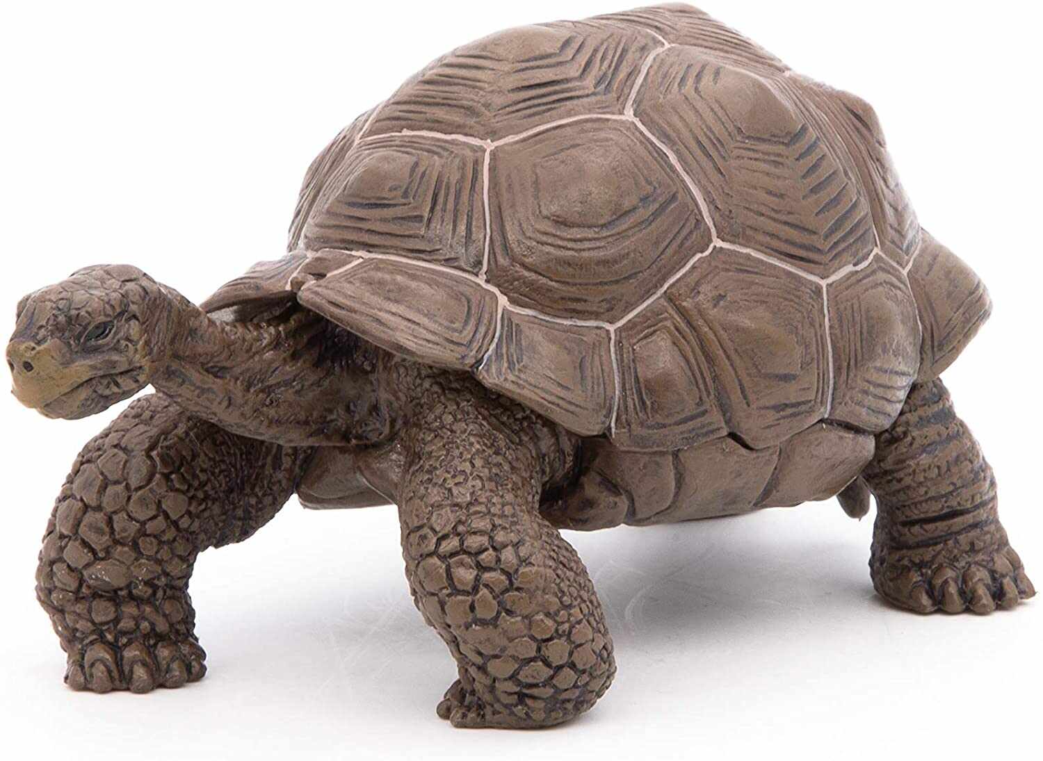 Figurina - Galapagos Tortoise | Papo