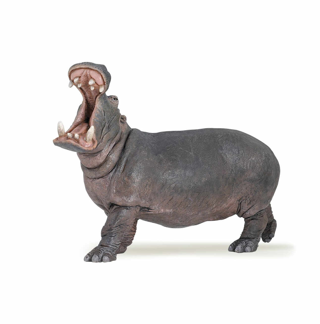 Figurina - Hippopotamus | Papo