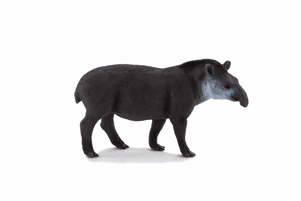 Tapir Brazilian Mojo Animal Planet