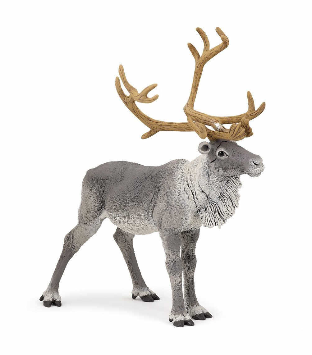 Figurina - Reindeer | Papo