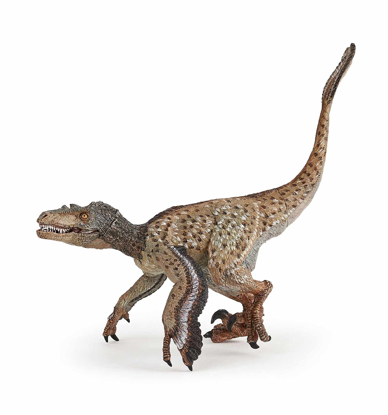 Figurina - Feathered velociraptor | Papo
