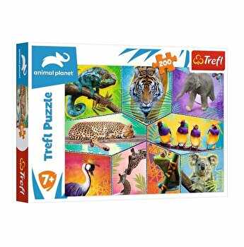 Puzzle Trefl - Animal Planet: O lume exotica, 200 piese