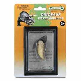 Figurina Dinte de Tyrannosaurus Rex