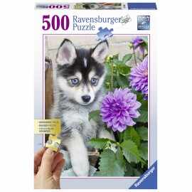 Puzzle catel husky 500 piese