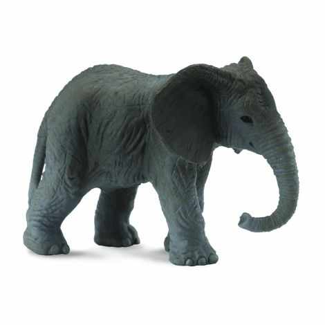 Pui de elefant african - Collecta