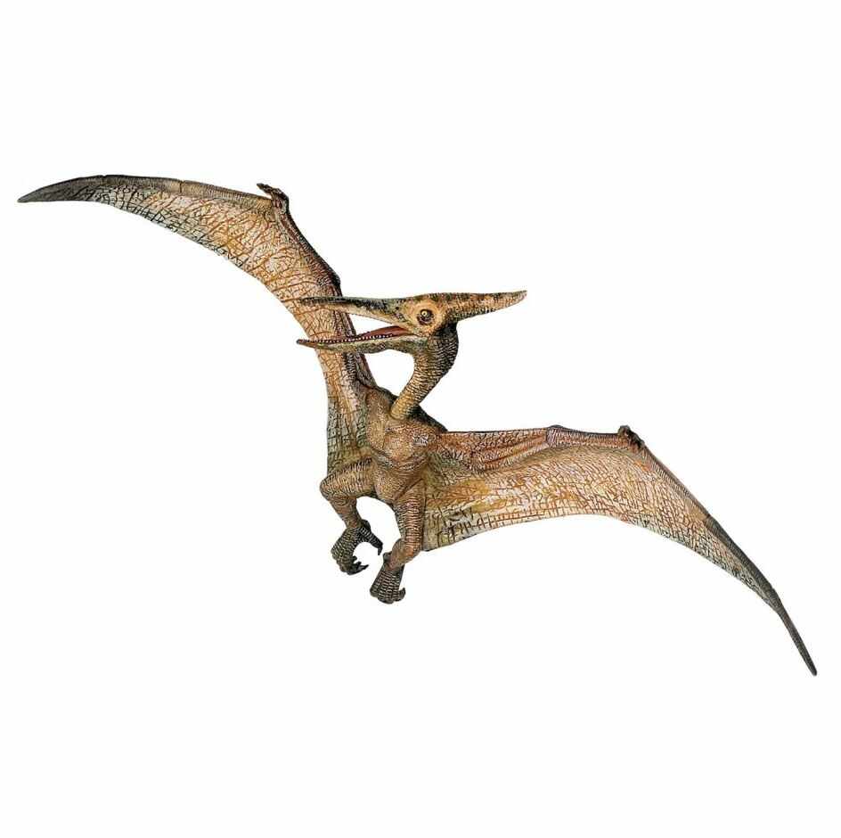 Figurina Papo - Dinozaur Pteranodon | Papo
