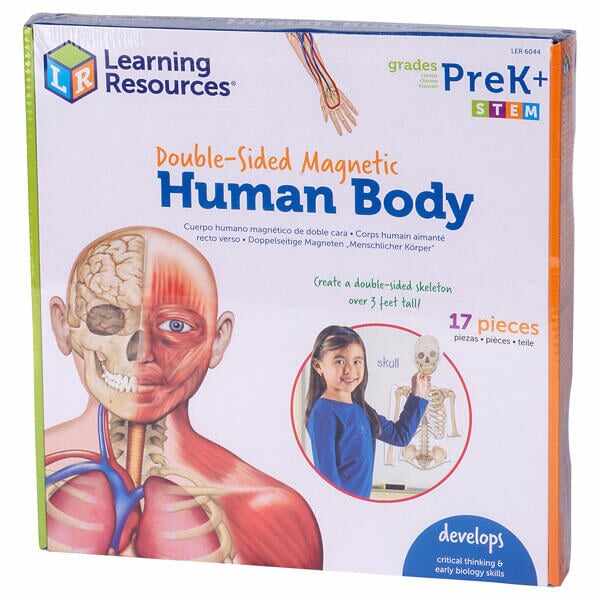 Corpul uman - set magnetic, Learning Resources, 4-5 ani +
