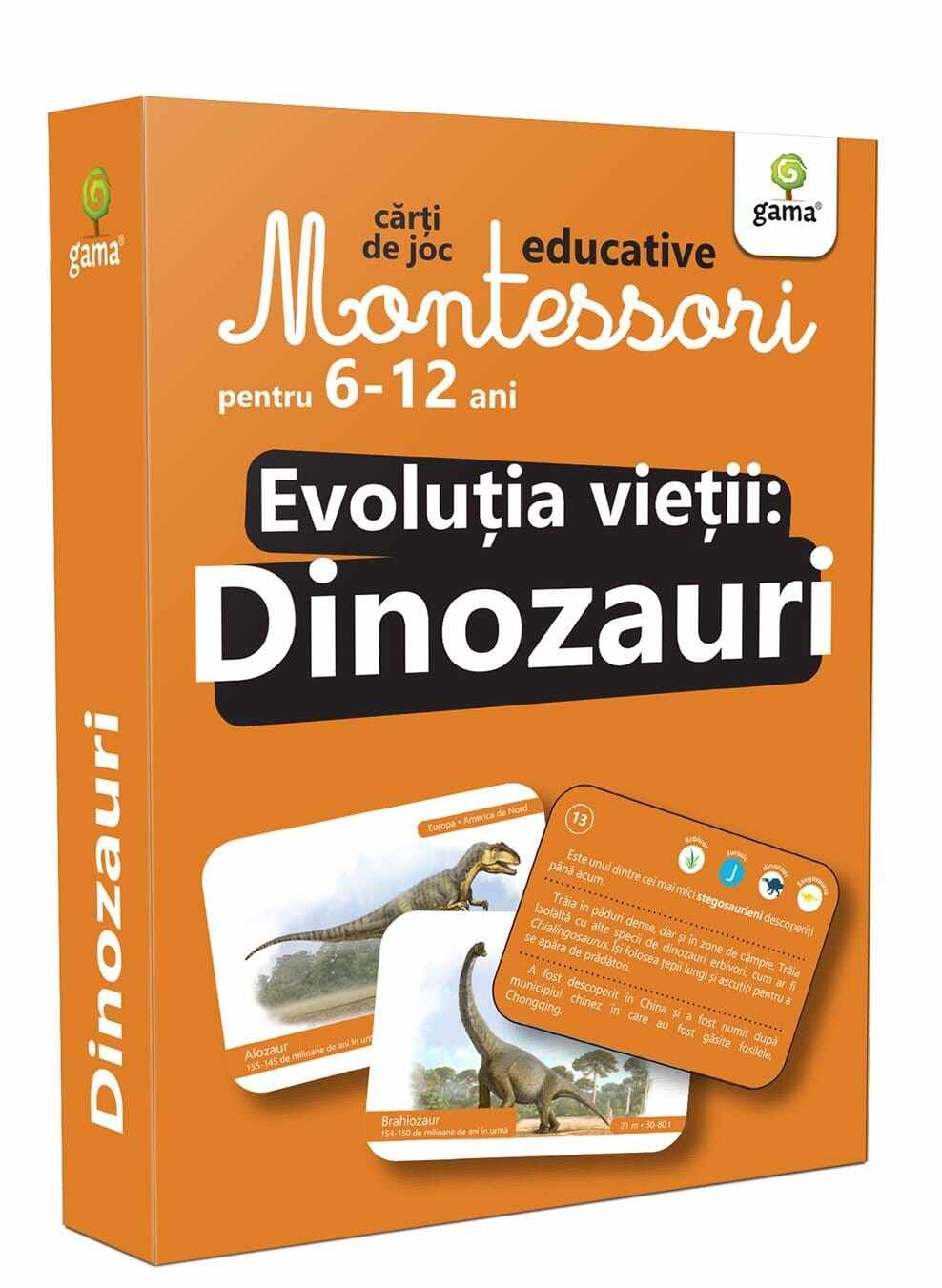 Evolutia vietii: Dinozauri - carti de joc Montessori pentru 6 - 12