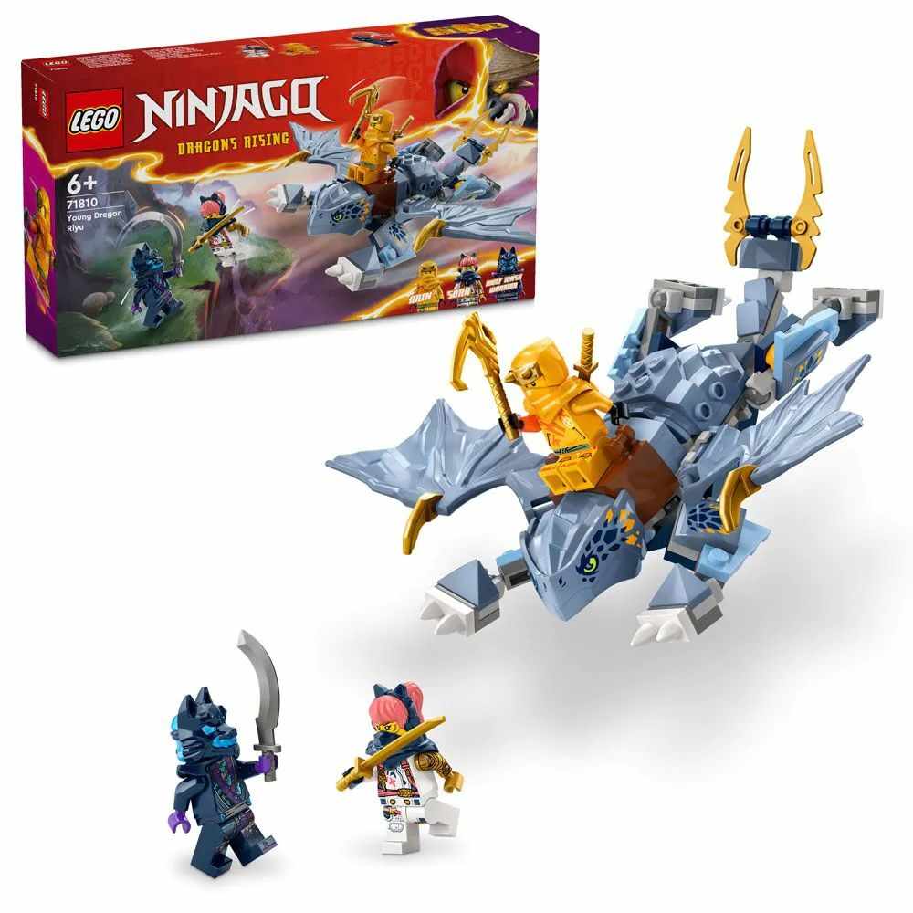 Lego Ninjago Tanarul dragon Riyu 71810