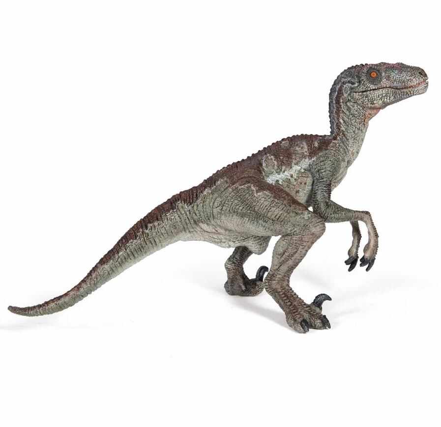 Figurina Papo - Dinozaur Velociraptor | Papo