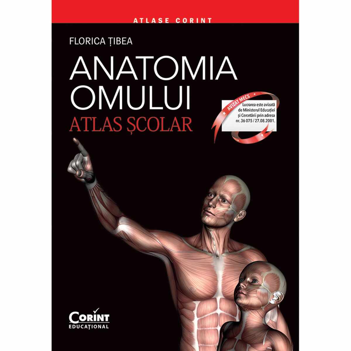 Carte Editura Corint, Atlas scolar anatomia omului - editie revizuita, Florica Tibea