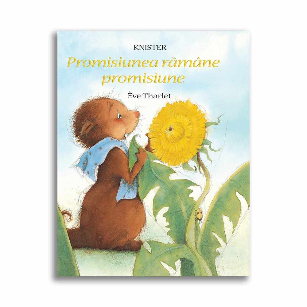 Carte Promisiunea ramane promisiune, Editura DPH