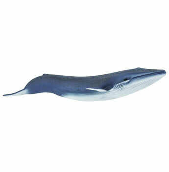 Figurina Balena albastra